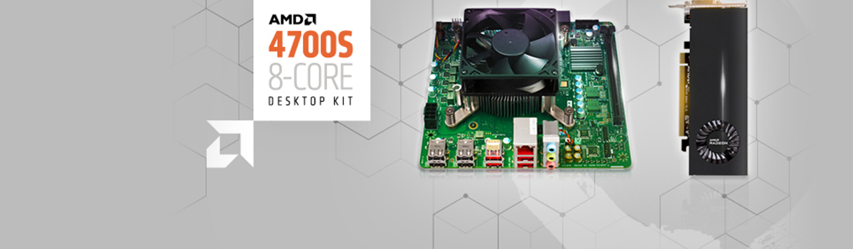 AMD 4700S
