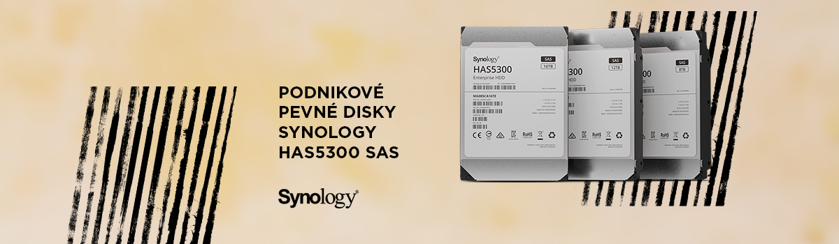 Synology HAS5300