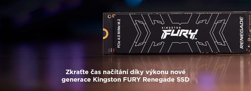 Kingston Renegade SSD
