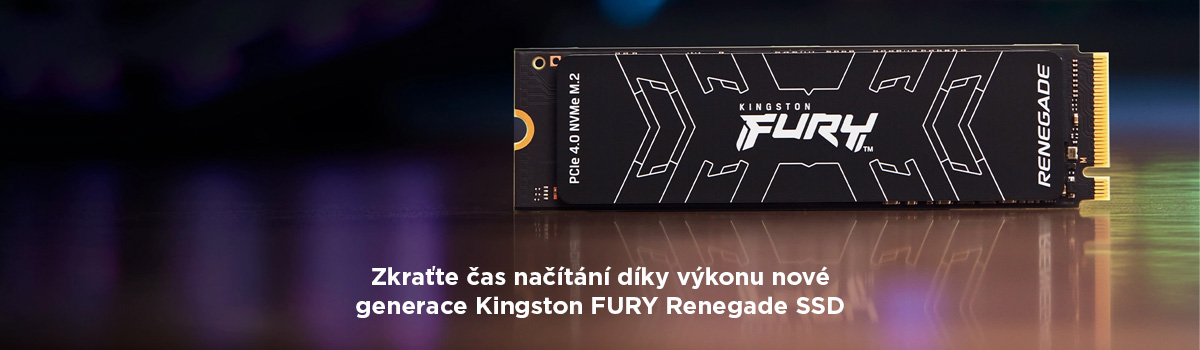 Kingston Renegade SSD